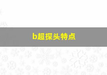 b超探头特点