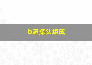 b超探头组成