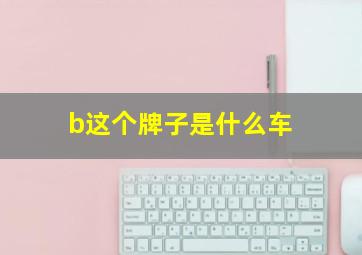 b这个牌子是什么车