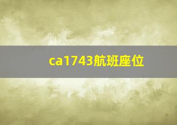 ca1743航班座位