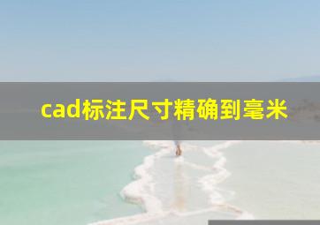 cad标注尺寸精确到毫米