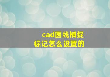 cad画线捕捉标记怎么设置的