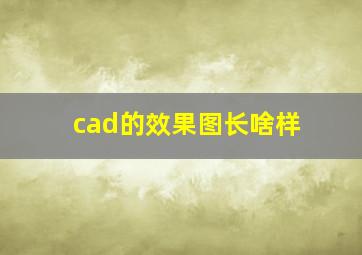 cad的效果图长啥样