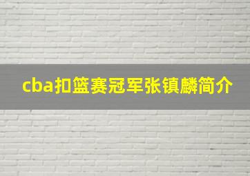 cba扣篮赛冠军张镇麟简介