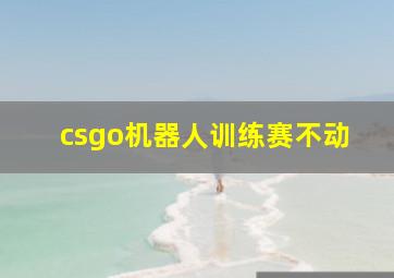 csgo机器人训练赛不动