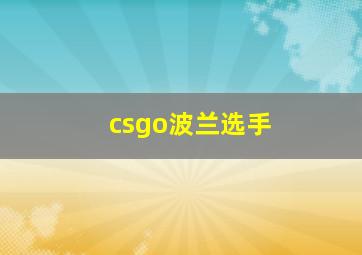 csgo波兰选手