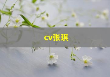 cv张琪