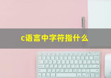 c语言中字符指什么