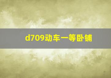 d709动车一等卧铺