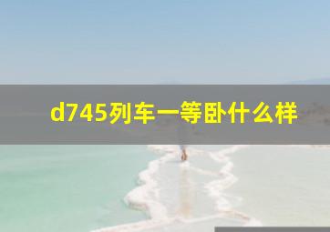 d745列车一等卧什么样