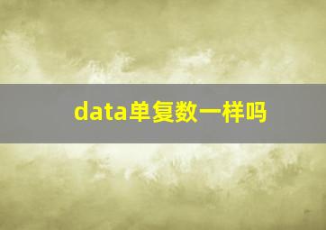 data单复数一样吗