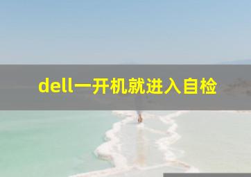 dell一开机就进入自检