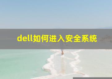 dell如何进入安全系统