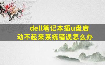 dell笔记本插u盘启动不起来系统错误怎么办