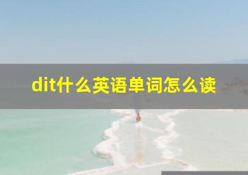 dit什么英语单词怎么读