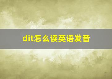 dit怎么读英语发音