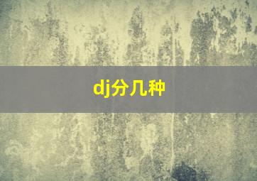 dj分几种