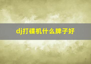 dj打碟机什么牌子好