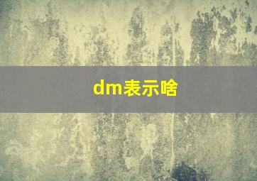 dm表示啥