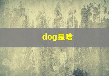 dog是啥