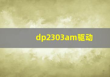 dp2303am驱动