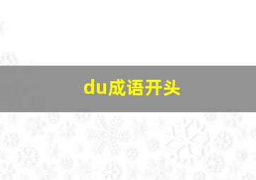 du成语开头