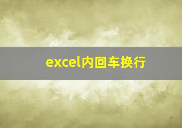 excel内回车换行