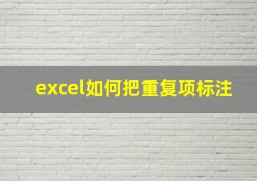 excel如何把重复项标注