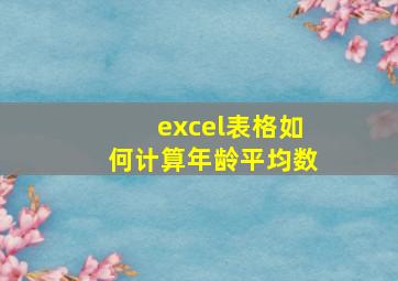 excel表格如何计算年龄平均数