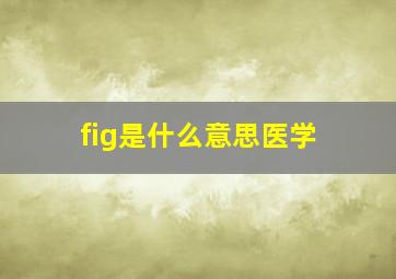 fig是什么意思医学