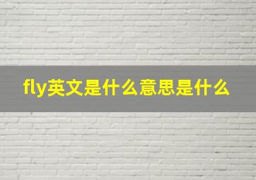 fly英文是什么意思是什么