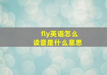 fly英语怎么读音是什么意思