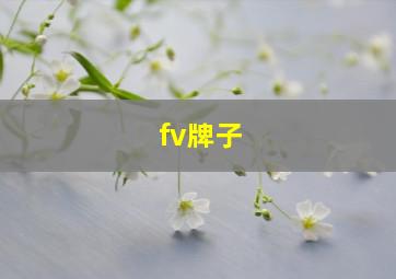 fv牌子