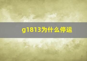 g1813为什么停运