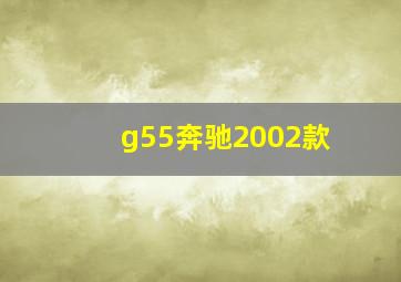 g55奔驰2002款