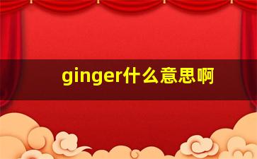 ginger什么意思啊