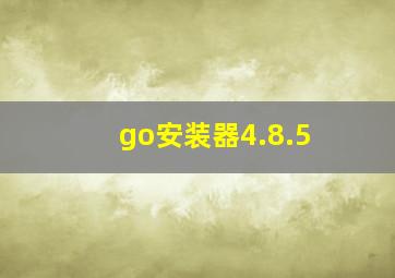 go安装器4.8.5