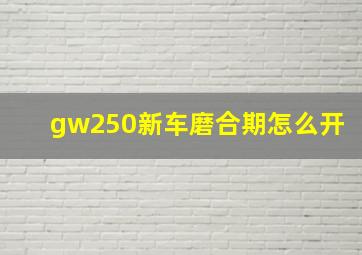 gw250新车磨合期怎么开