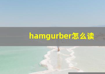 hamgurber怎么读