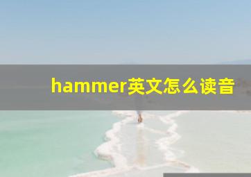 hammer英文怎么读音