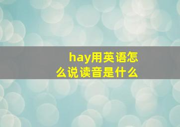 hay用英语怎么说读音是什么