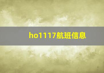 ho1117航班信息