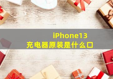 iPhone13充电器原装是什么口