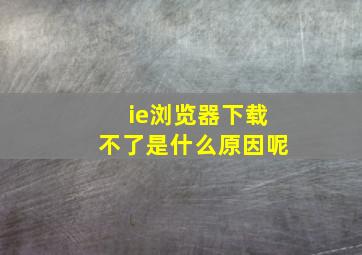 ie浏览器下载不了是什么原因呢