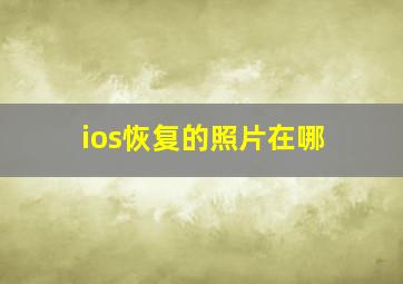 ios恢复的照片在哪