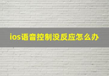 ios语音控制没反应怎么办