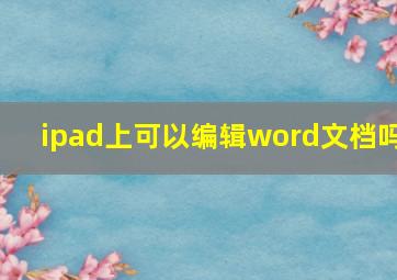 ipad上可以编辑word文档吗