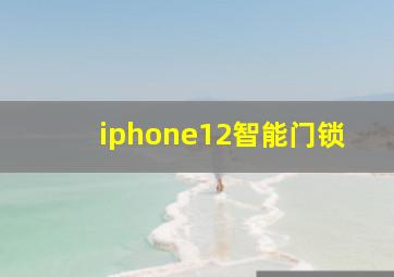 iphone12智能门锁