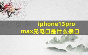 iphone13promax充电口是什么接口