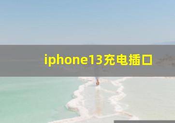 iphone13充电插口